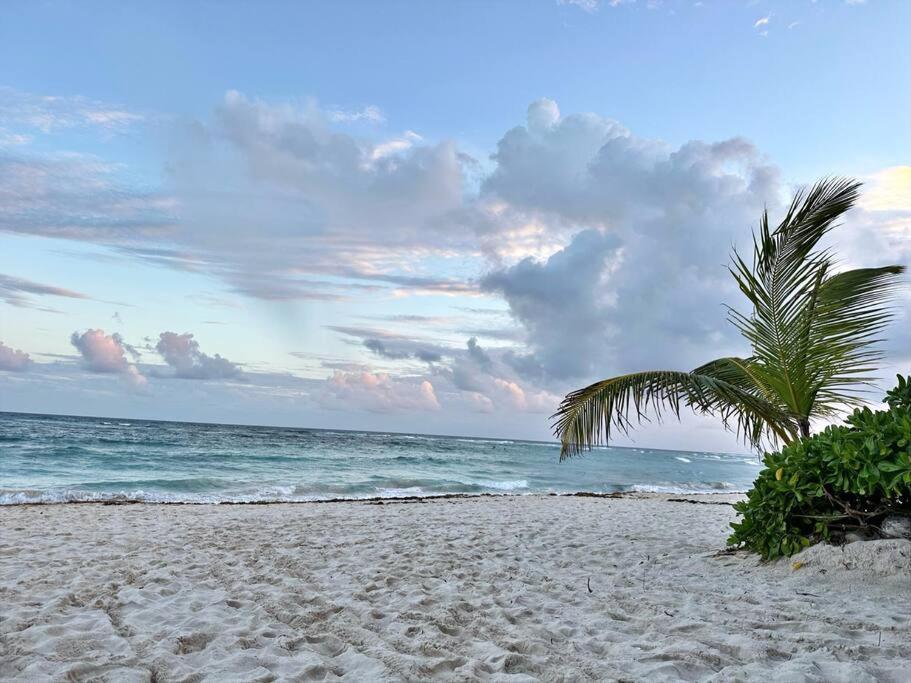 3 Bedroom Luxury Condo Next To Beach & Pools, Ac And Internet Akumal Eksteriør billede